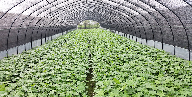 BC贷(中国游)官方网站