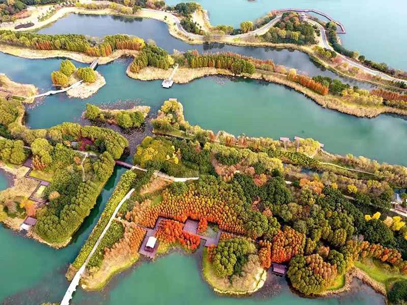 BC贷(中国游)官方网站